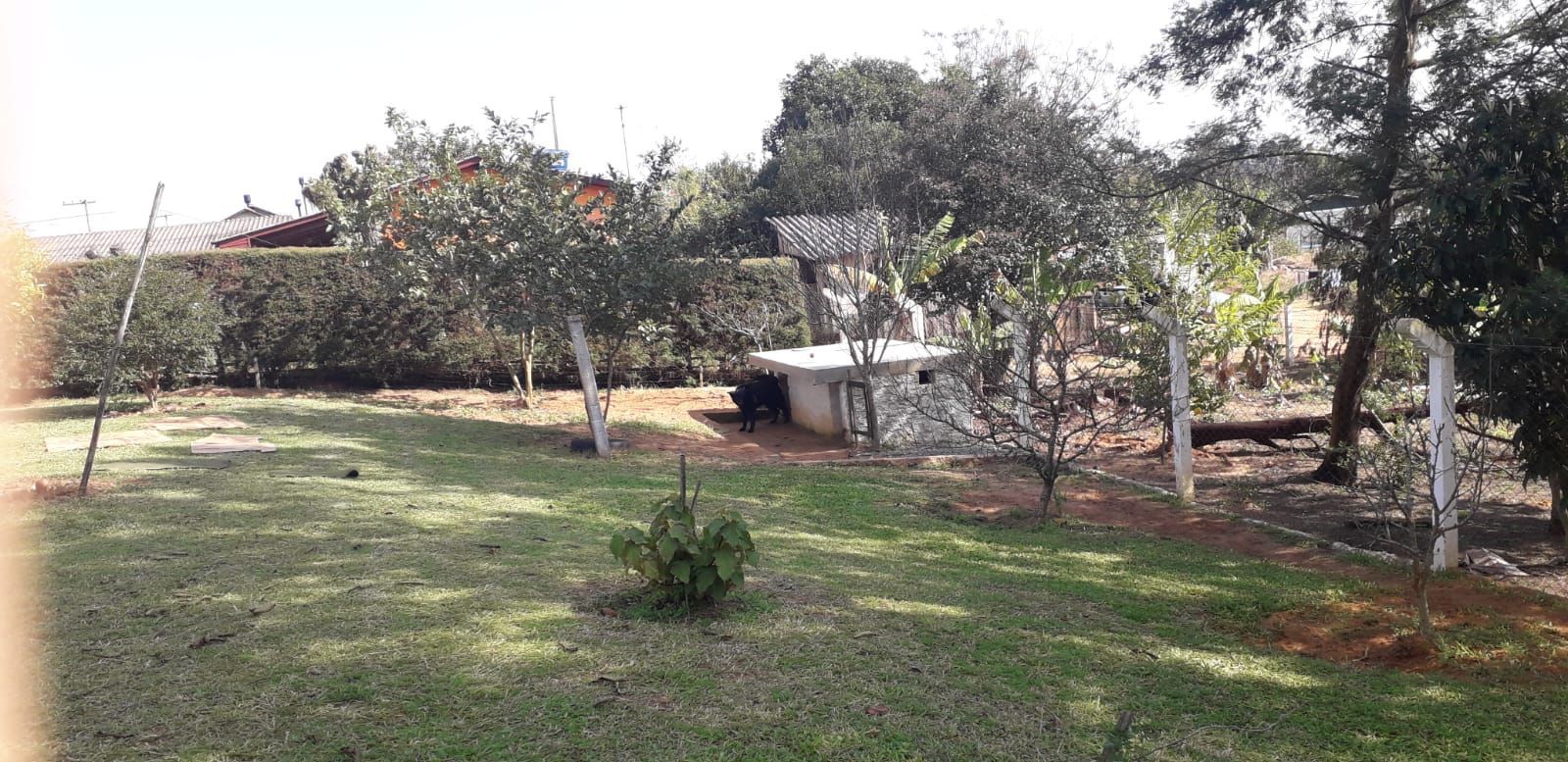 Casa, 4 quartos, 300 m² - Foto 49