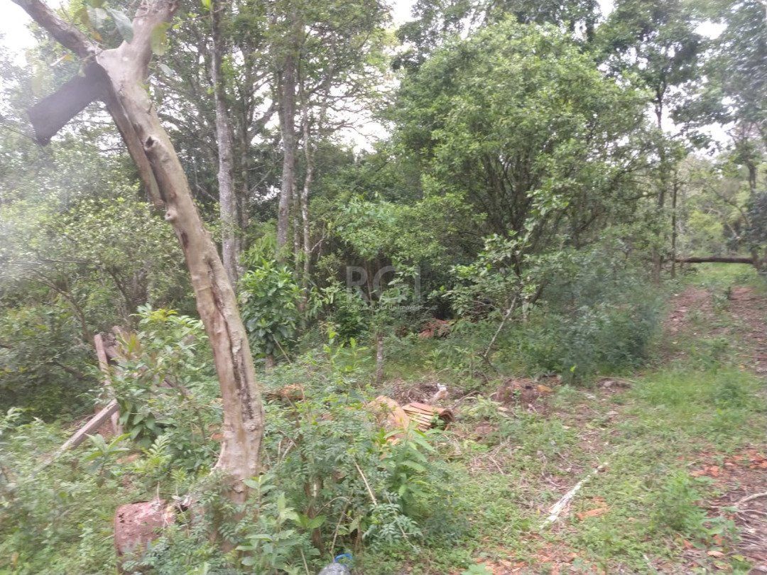 Terreno à venda, 113942m² - Foto 14