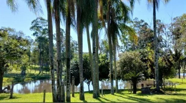 Sítio à venda com 3 quartos, 201m² - Foto 9