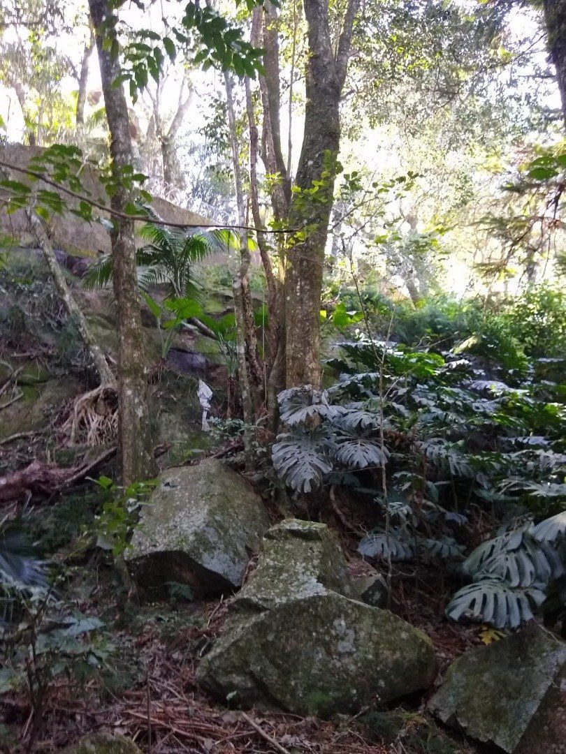 Terreno, 3032 m² - Foto 13