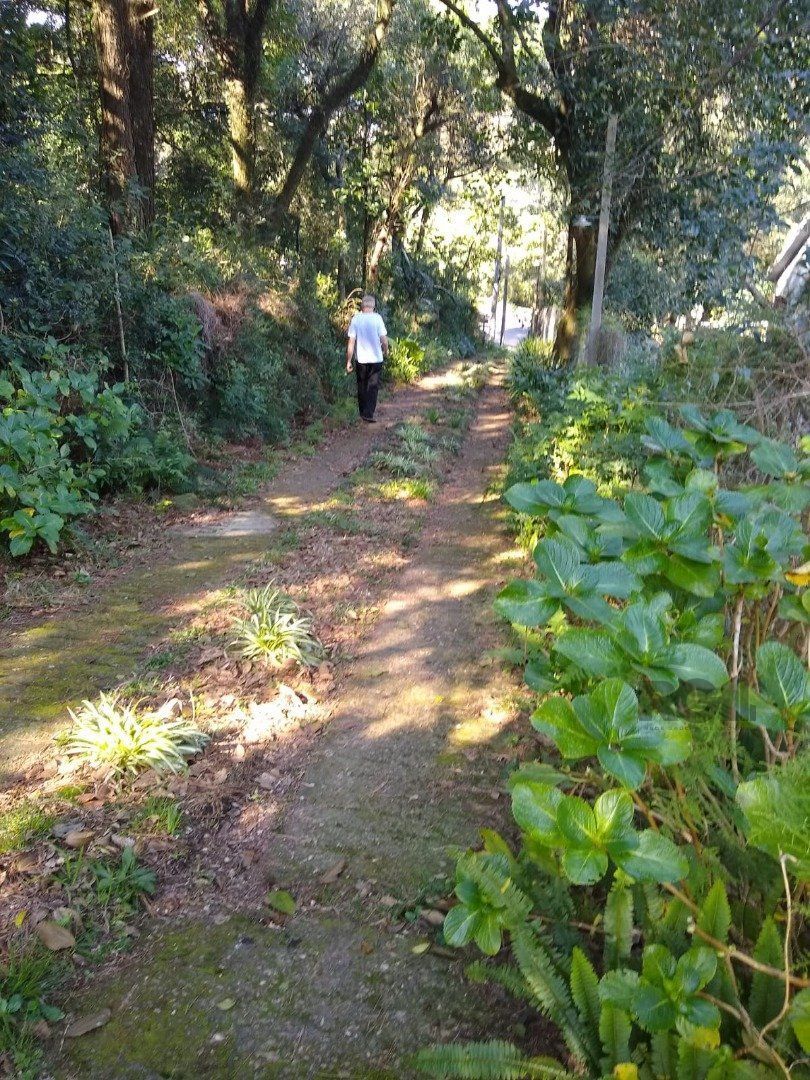 Terreno, 3032 m² - Foto 9