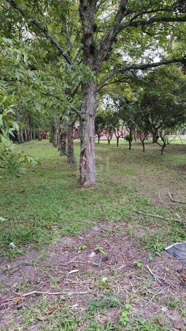 Sítio à venda com 6 quartos, 249m² - Foto 52