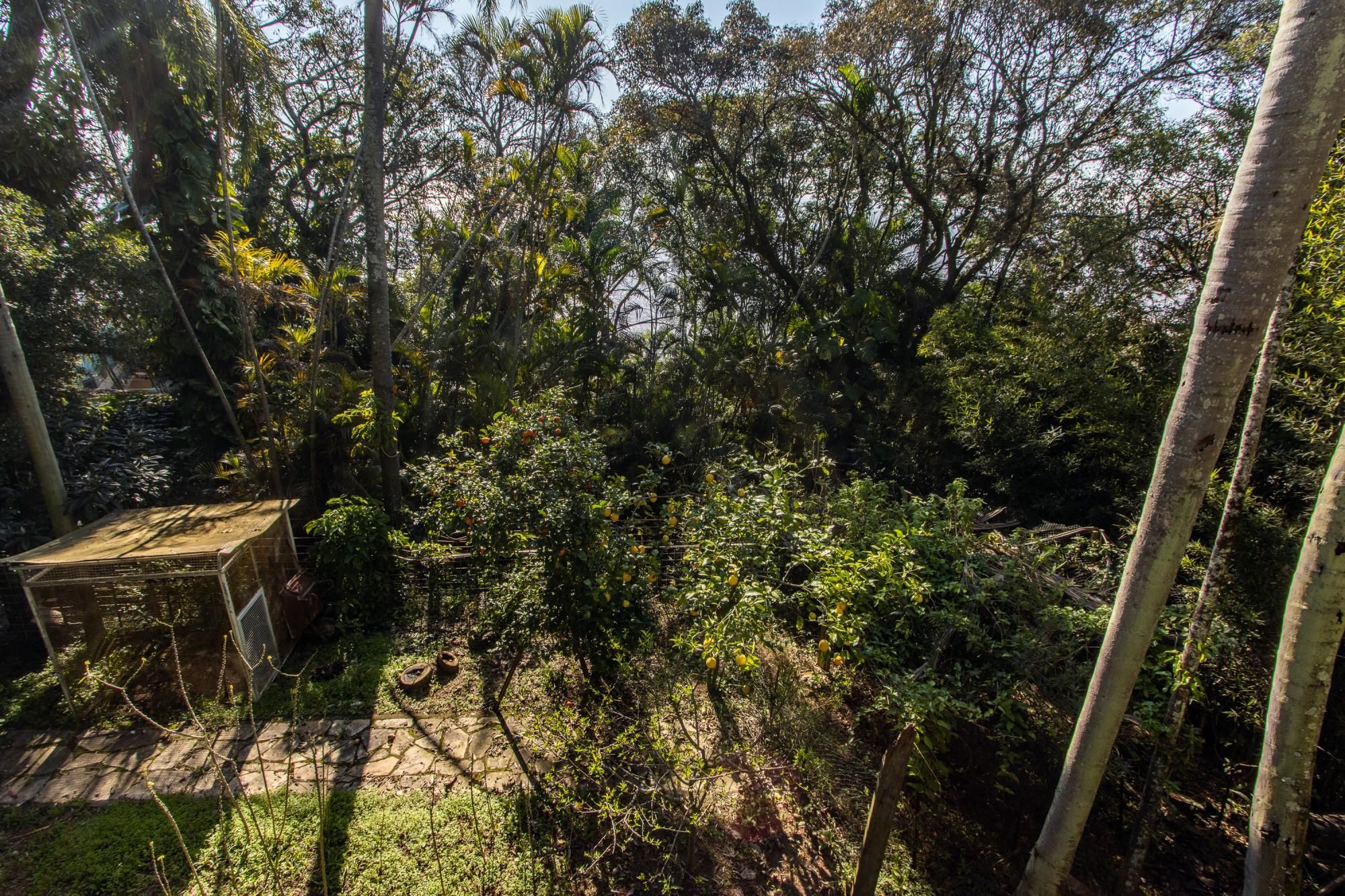 Casa, 4 quartos, 525 m² - Foto 78