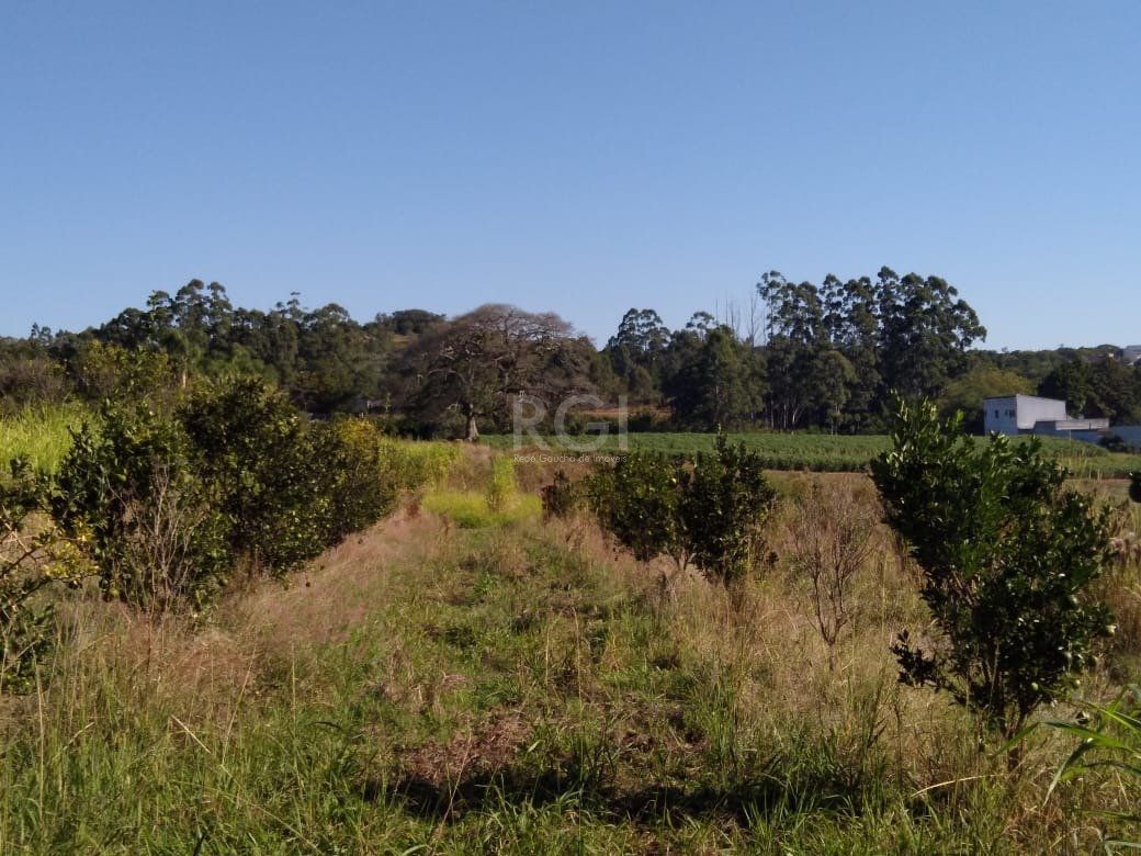 Terreno, 4 hectares - Foto 12