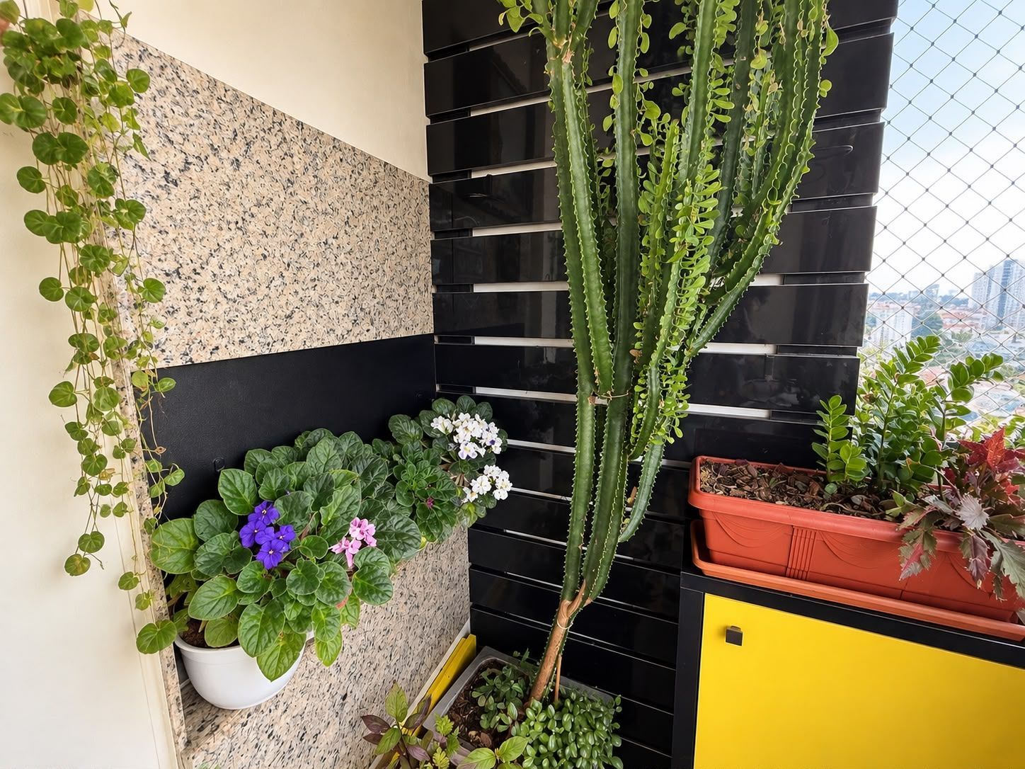Apartamento, 3 quartos, à venda, 97 m², Passo da Areia - Porto Alegre — foto 4