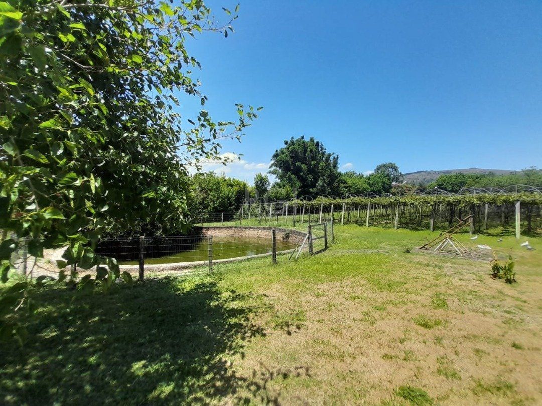 Terreno, 6629 m² - Foto 2