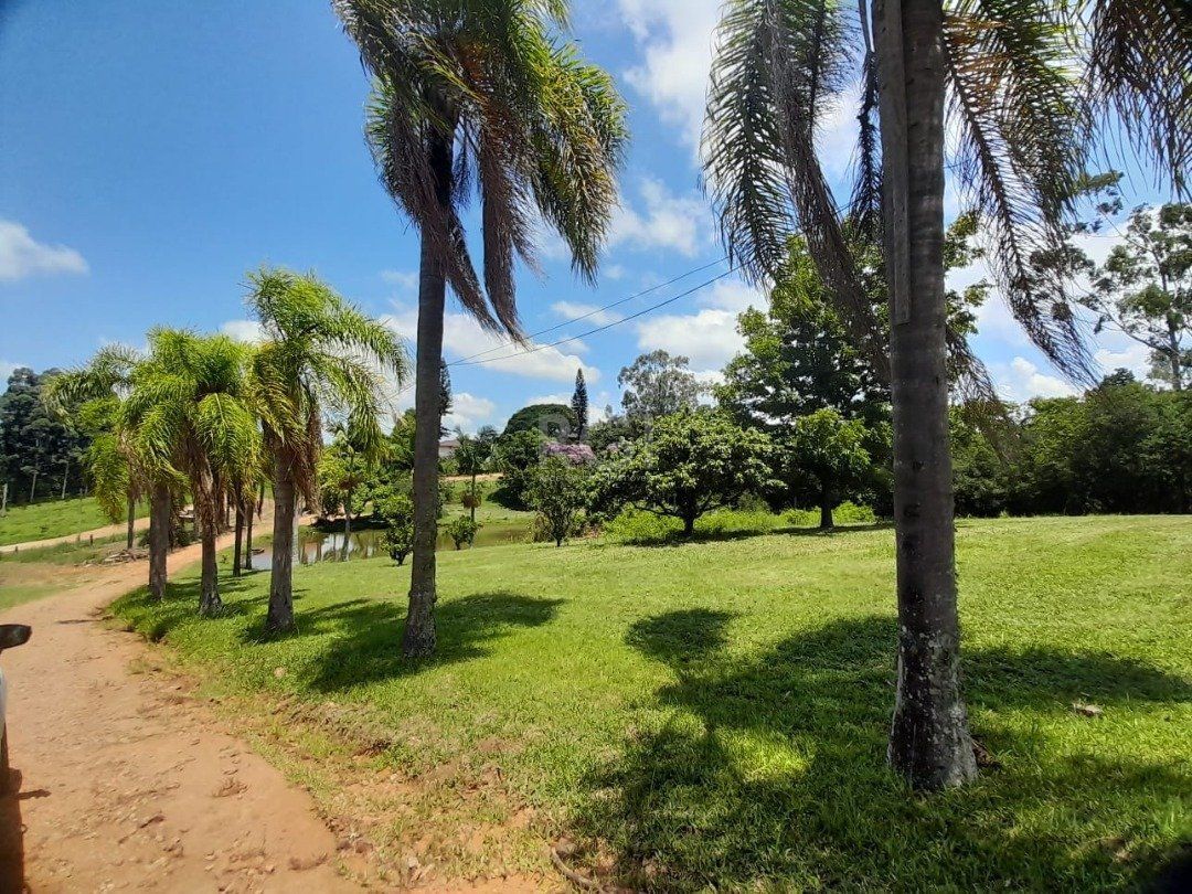 Terreno, 15 hectares - Foto 2