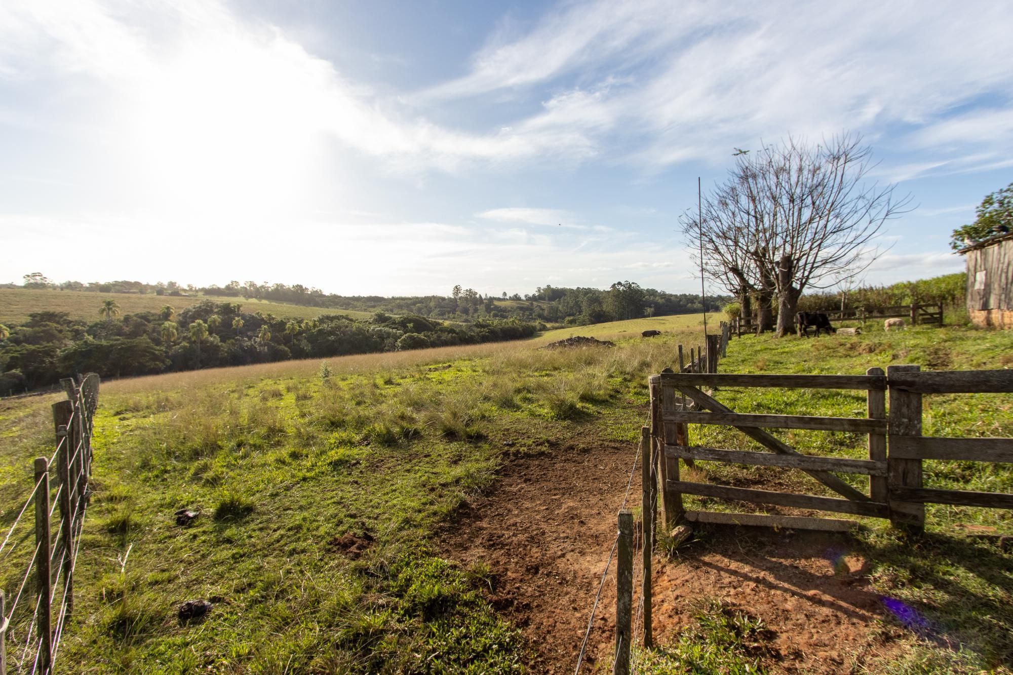 Sítio, 3 quartos, 8 hectares - Foto 67