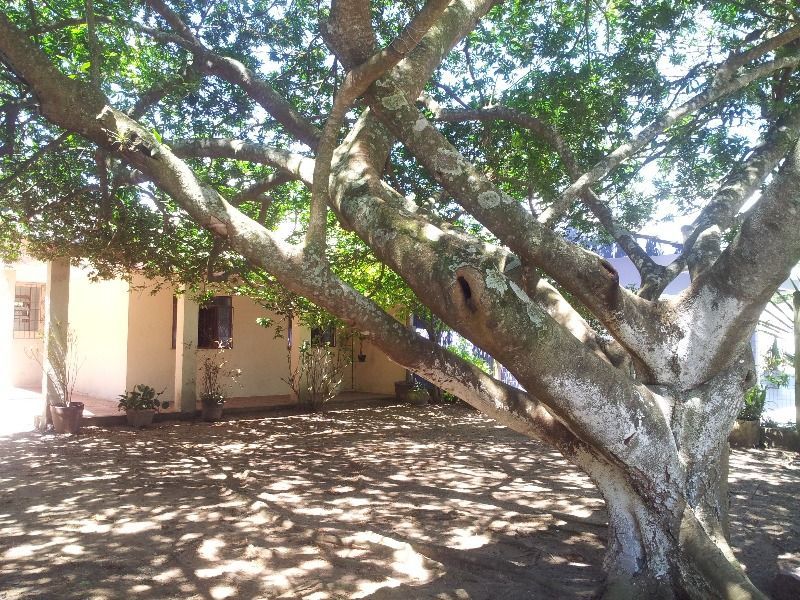 Casa à venda com 2 quartos, 100m² - Foto 2