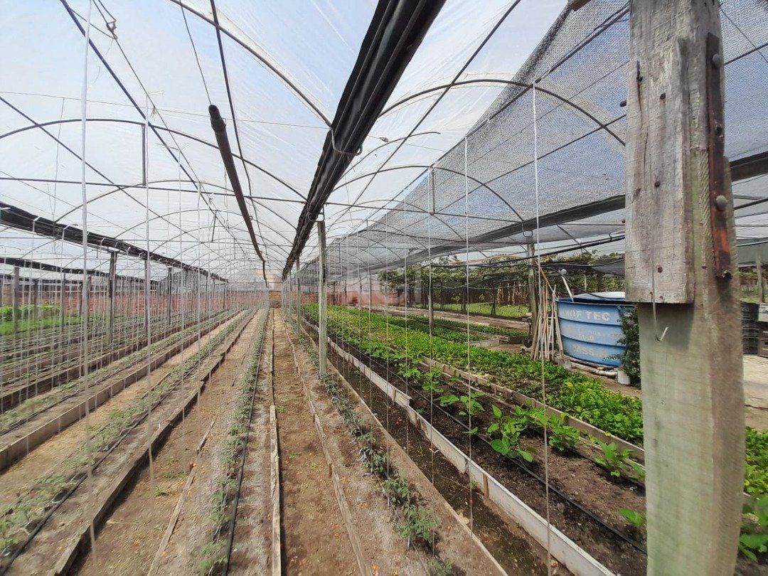 Terreno, 6629 m² - Foto 15