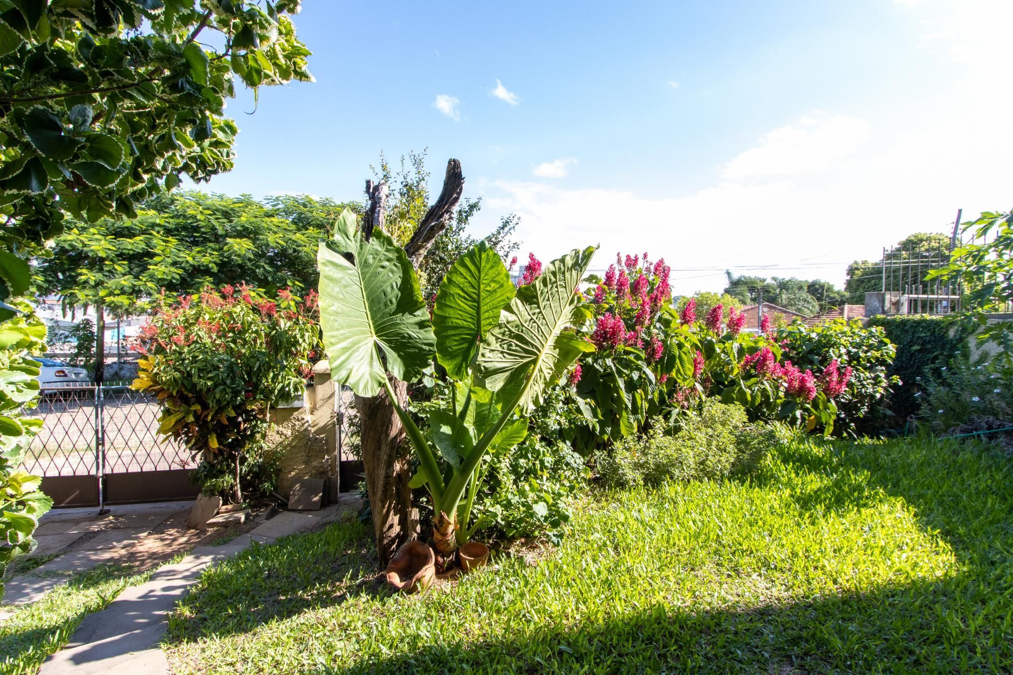 Casa, 5 quartos, 369 m² - Foto 4