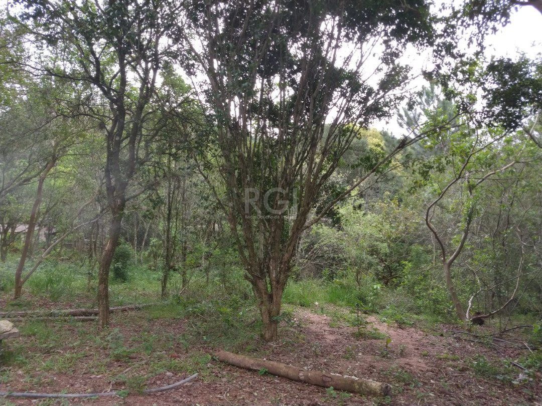 Terreno à venda, 113942m² - Foto 7