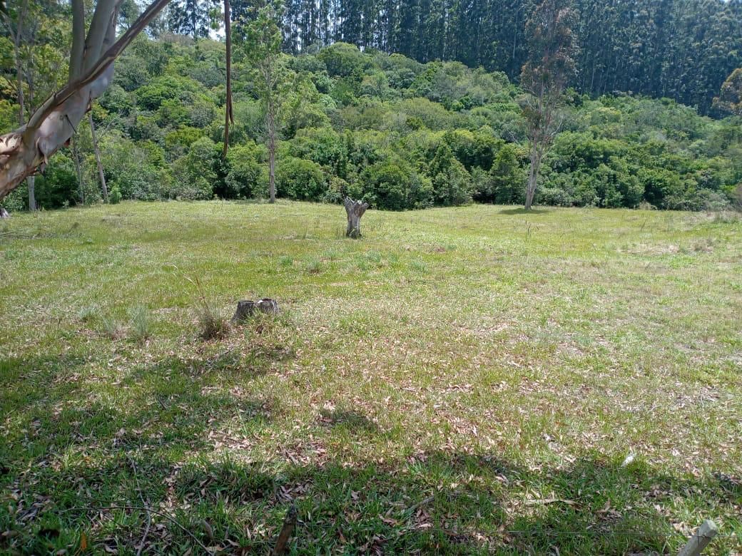 Sítio, 3 quartos, 12 hectares - Foto 20