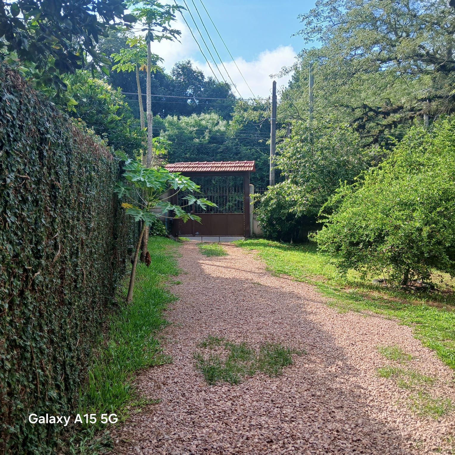 Casa 3 dormitórios no bairro Pitinga