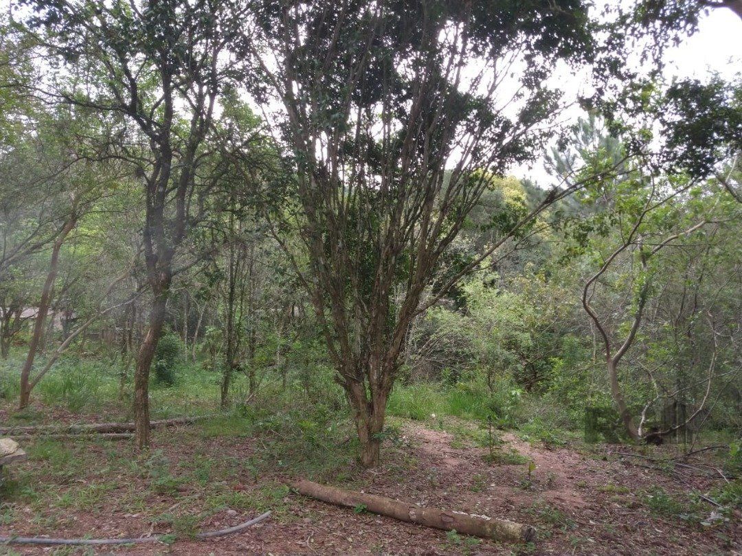 Terreno à venda, 46960m² - Foto 5