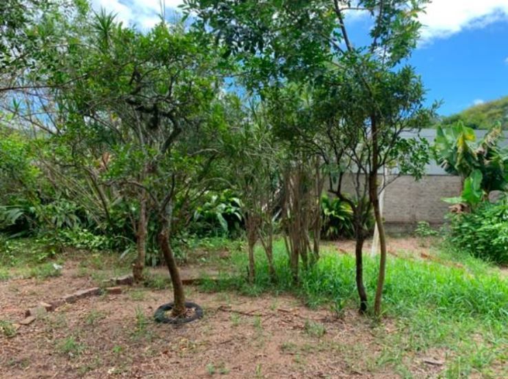 Casa 3 quartos à venda, 265m², Vila Nova - Porto Alegre