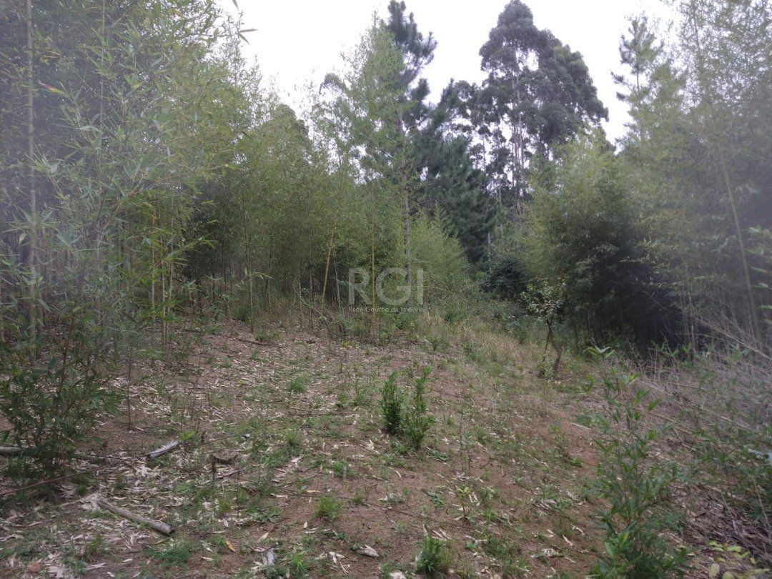 Terreno à venda, 113942m² - Foto 11