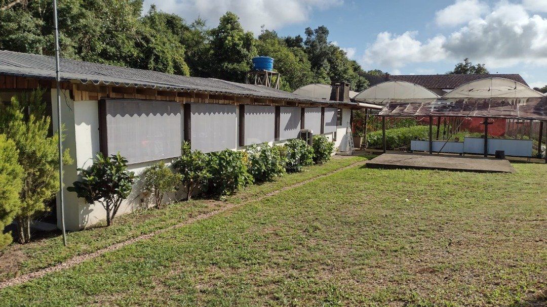 Terreno, 6629 m² - Foto 6