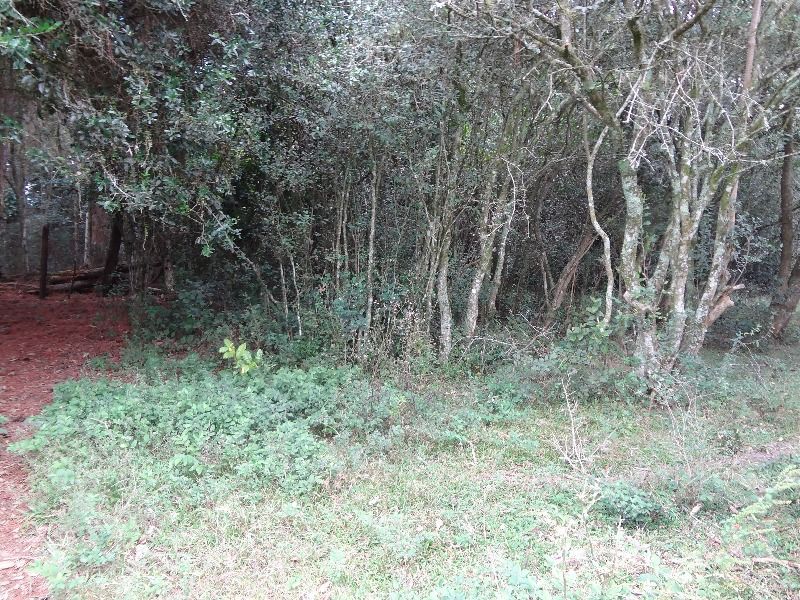 Terreno à venda, 145000m² - Foto 18