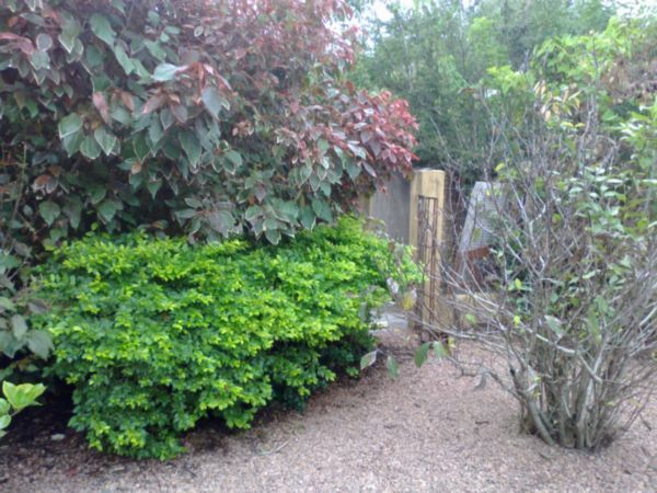 Casa, 3 quartos, 350 m² - Foto 20