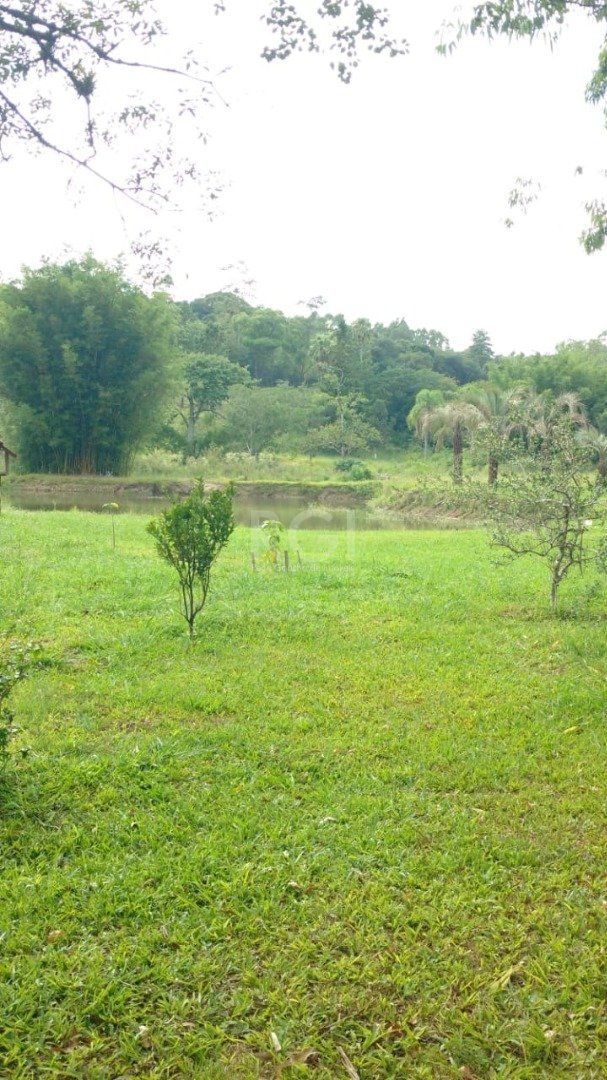 Sítio à venda com 1 quarto, 49999m² - Foto 9