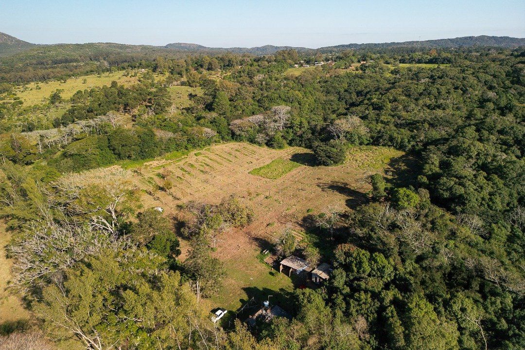 Terreno à venda, 96750m² - Foto 5