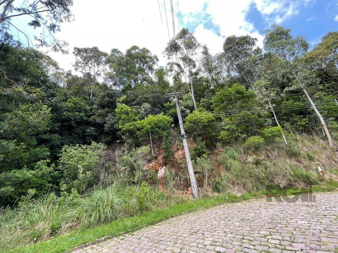 Terreno, 369 m² - Foto 1