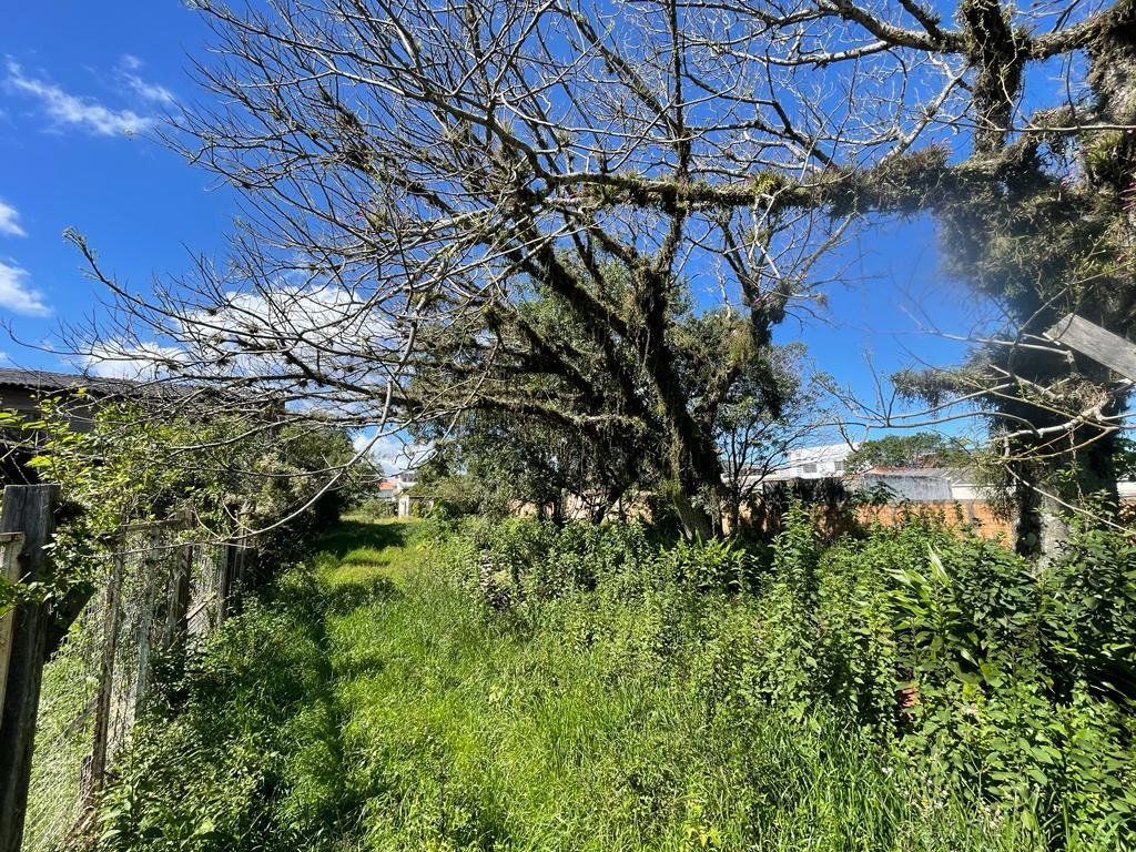 Terreno, 2394 m² - Foto 2