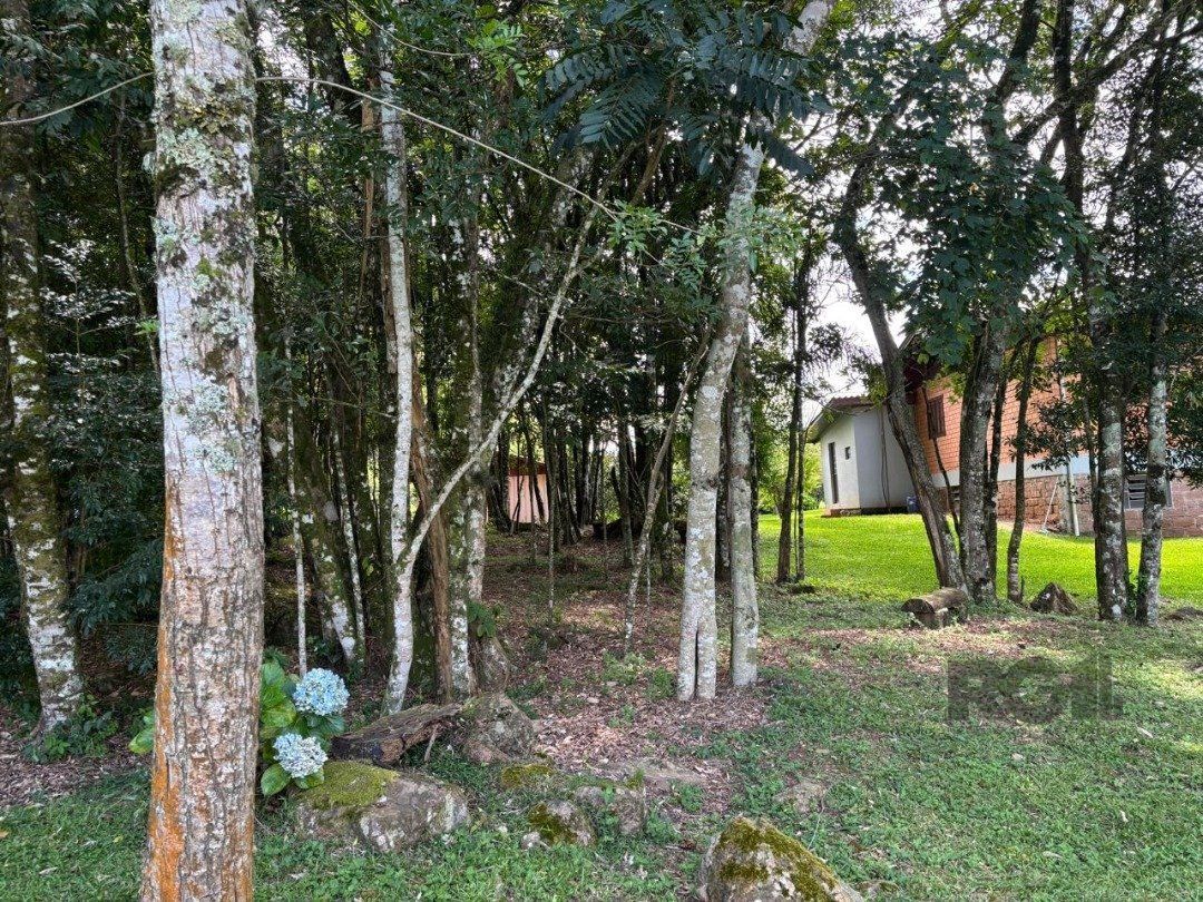 Chácara, 6 quartos, 5000 m² - Foto 12