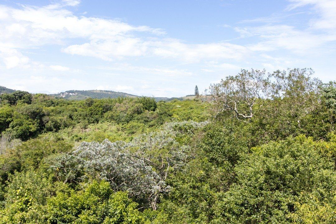 Apartamento, 2 quartos, 51 m² - Foto 15