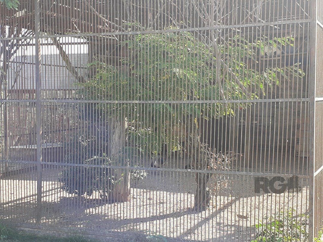 Sítio à venda com 2 quartos, 10000m² - Foto 26