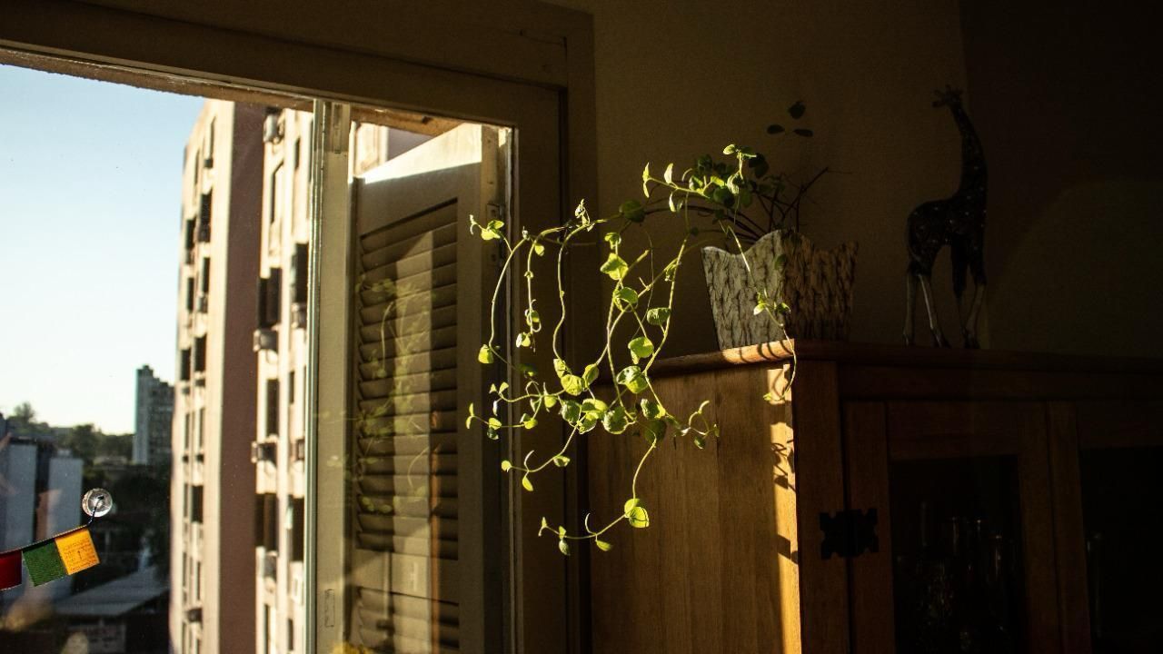 Apartamento, 1 quarto, 4587 m² - Foto 7