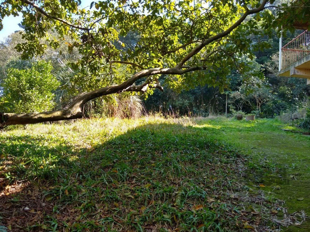 Terreno, 3032 m² - Foto 15