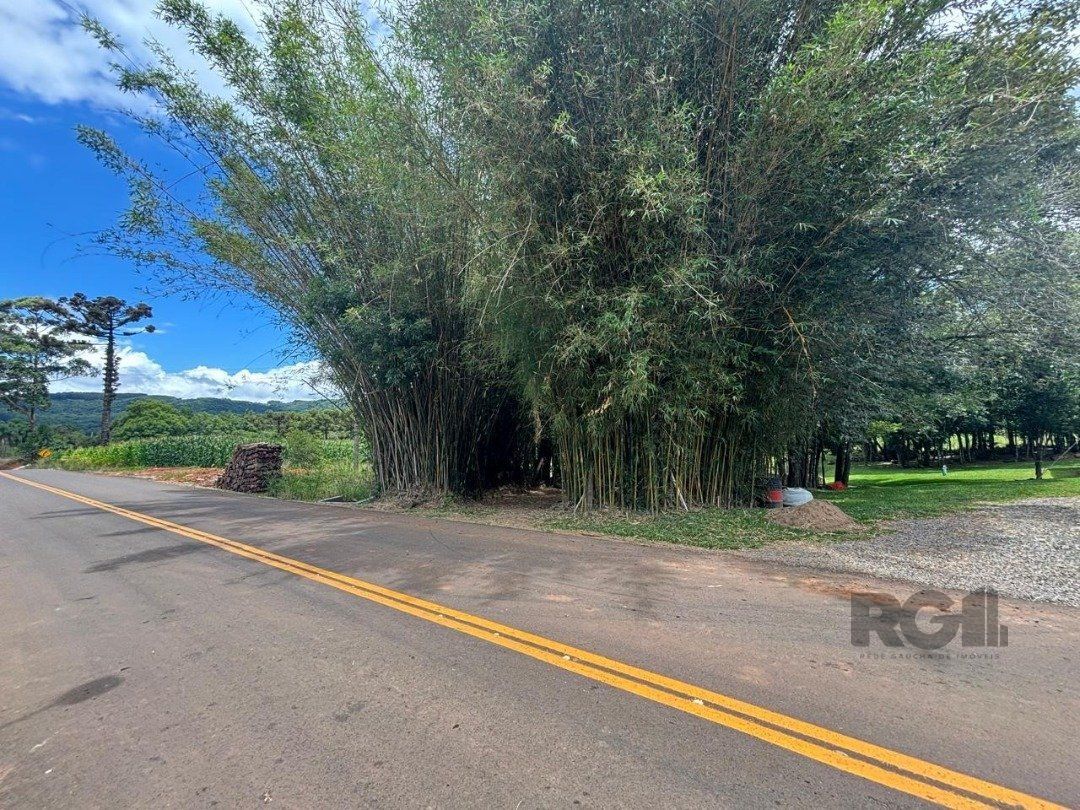 Chácara, 6 quartos, 5000 m² - Foto 14