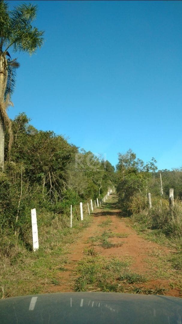 Sítio à venda com 1 quarto, 49999m² - Foto 7