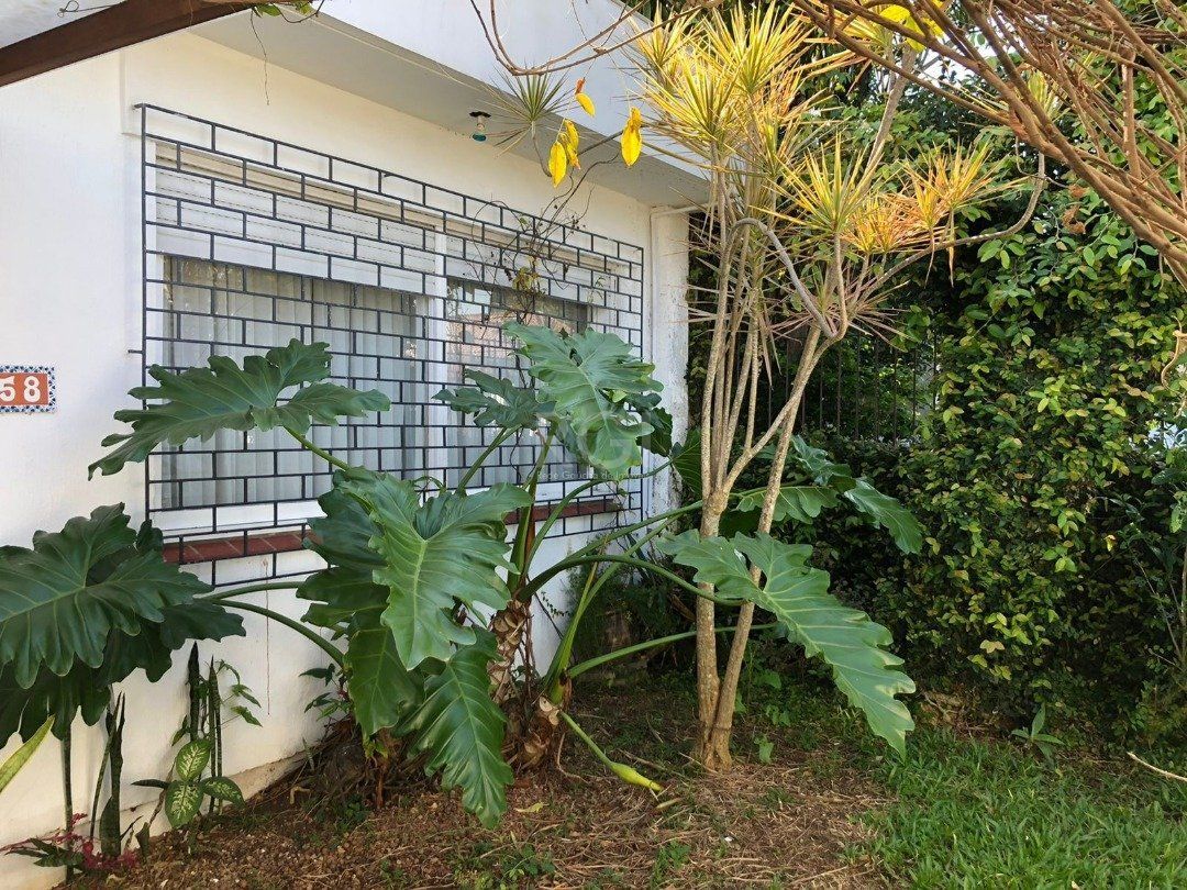 Casa à venda com 3 quartos, 210m² - Foto 33