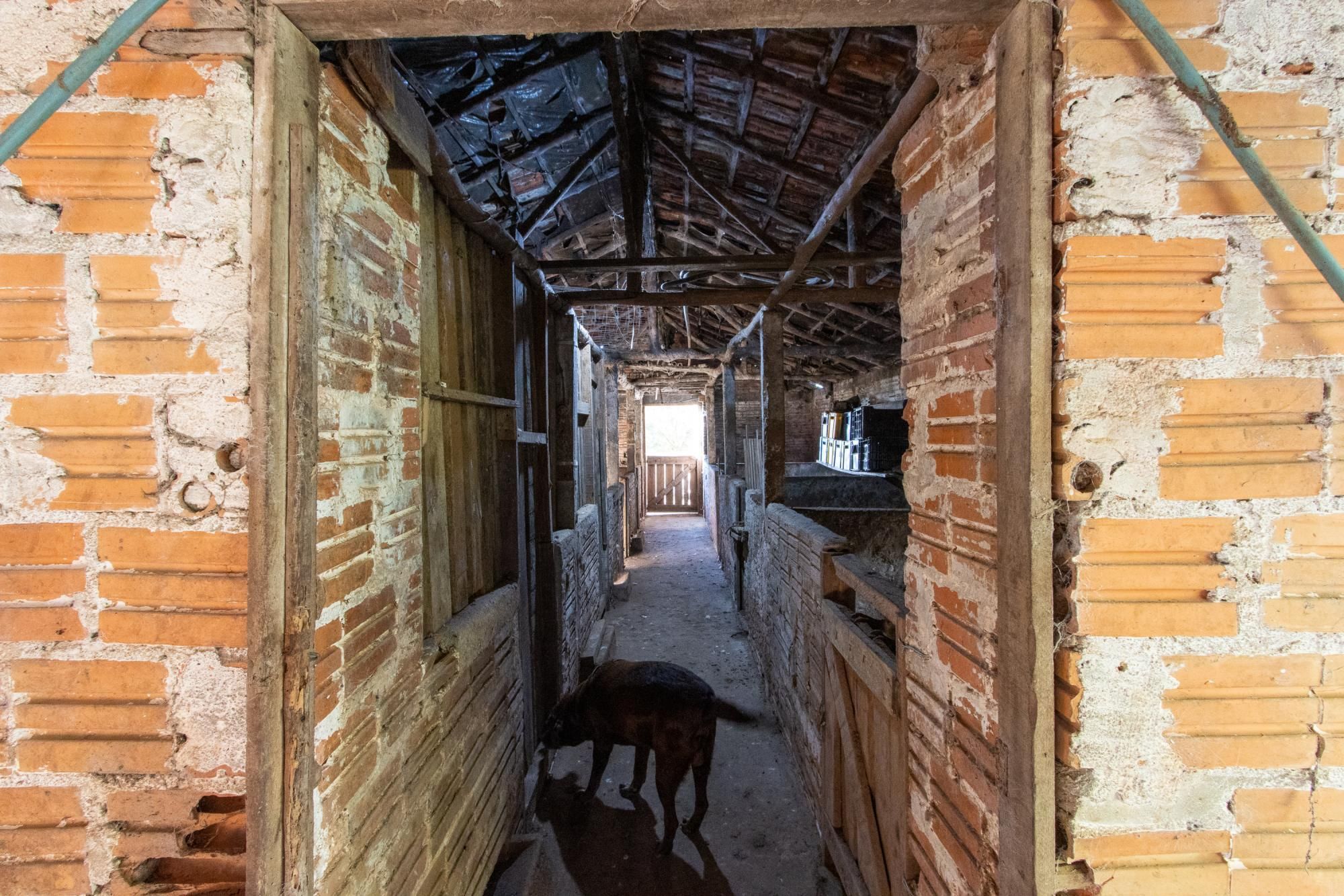 Sítio, 3 quartos, 8 hectares - Foto 56