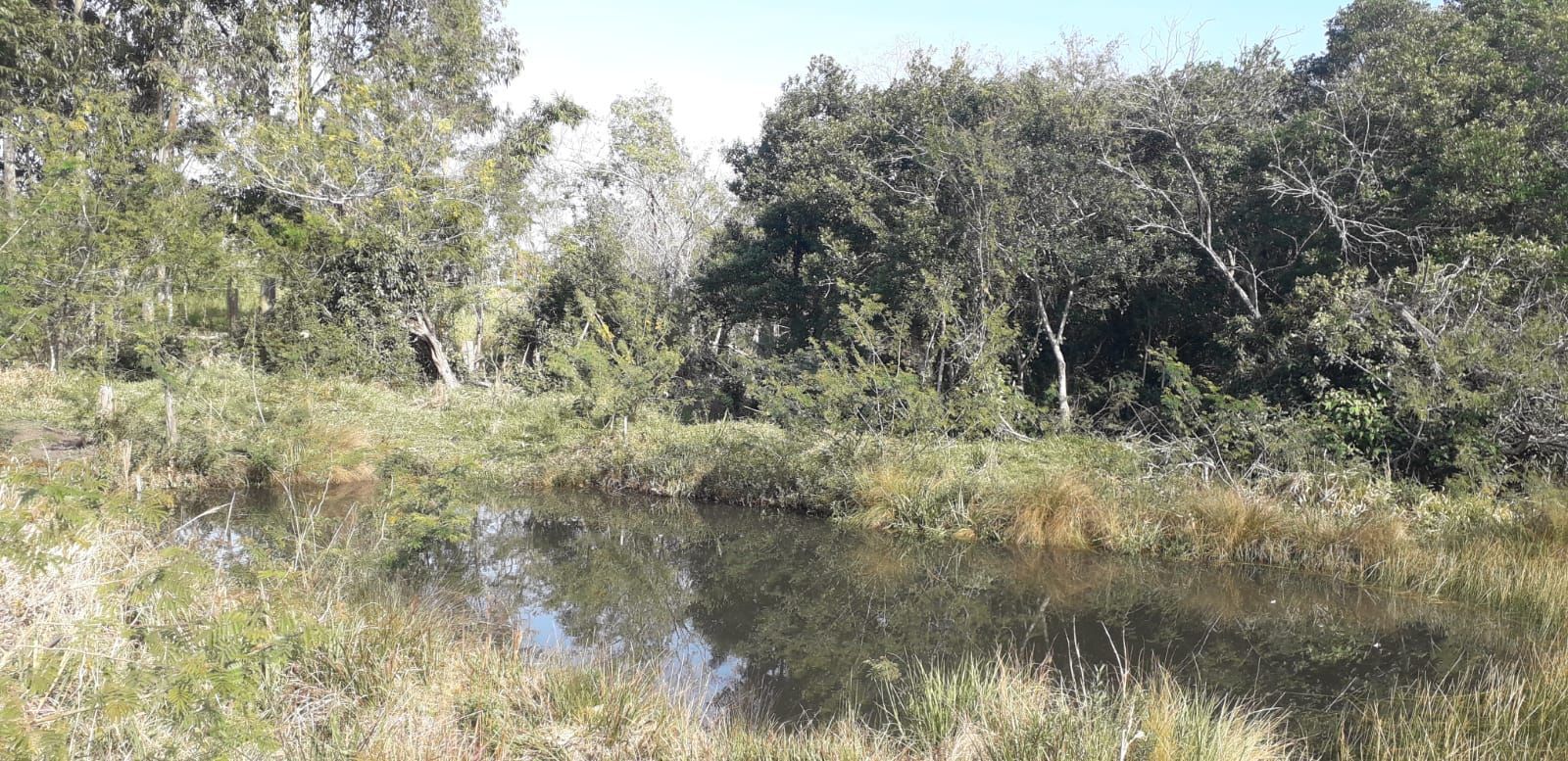 Casa, 4 quartos, 300 m² - Foto 50