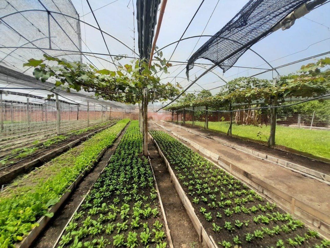 Terreno, 6629 m² - Foto 16