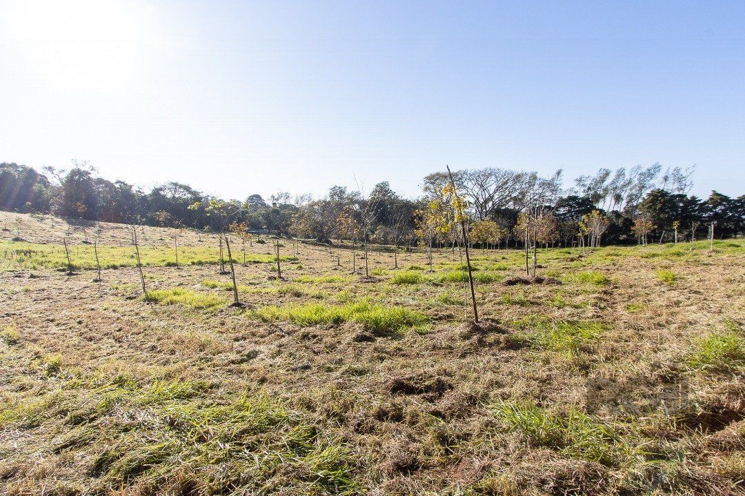 Terreno à venda, 96750m² - Foto 31