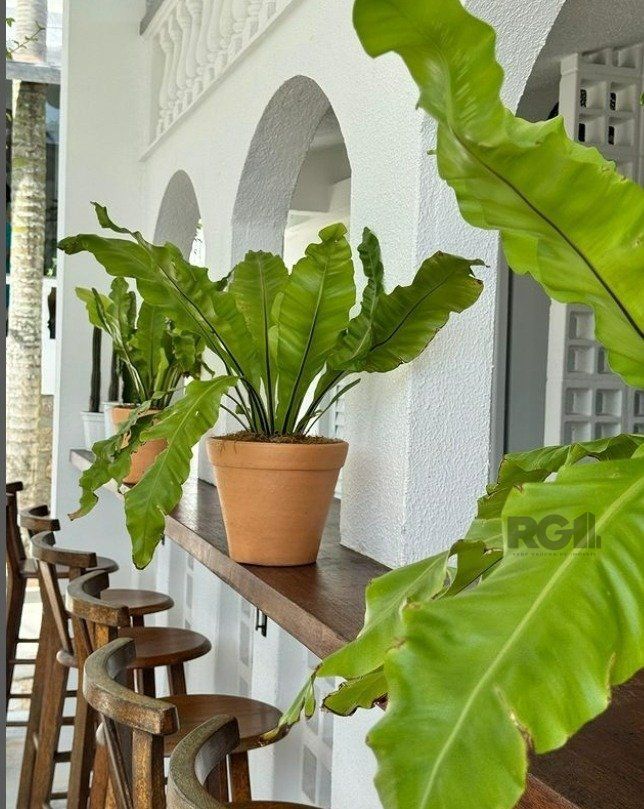 Prédio Inteiro à venda, 2501m² - Foto 27