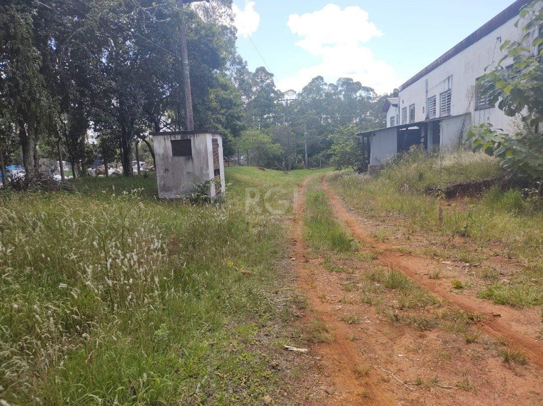 Depósito-Galpão, 1808 m² - Foto 5