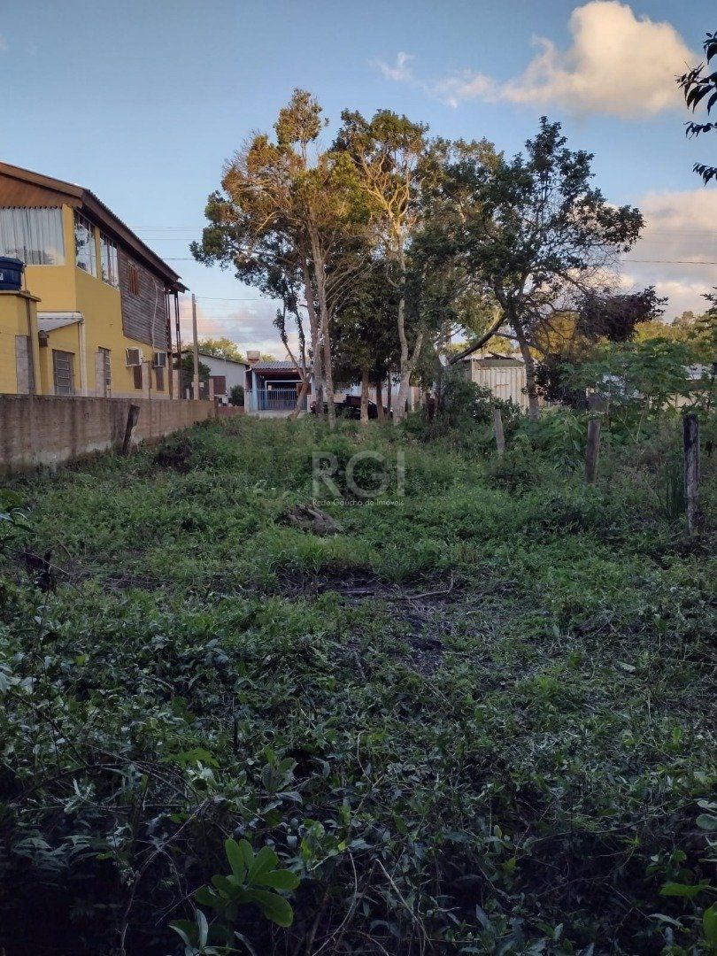 Terreno à venda, 300m² - Foto 2