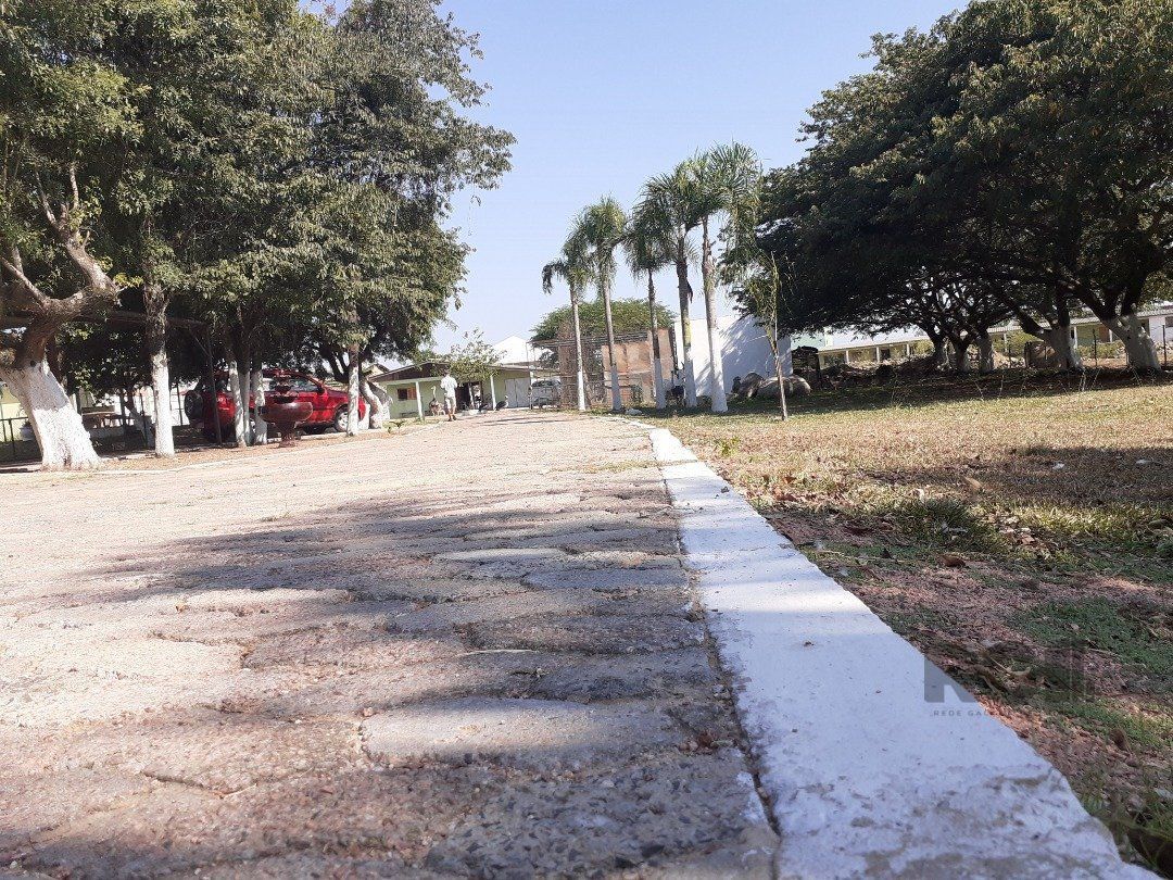 Sítio à venda com 2 quartos, 10000m² - Foto 5