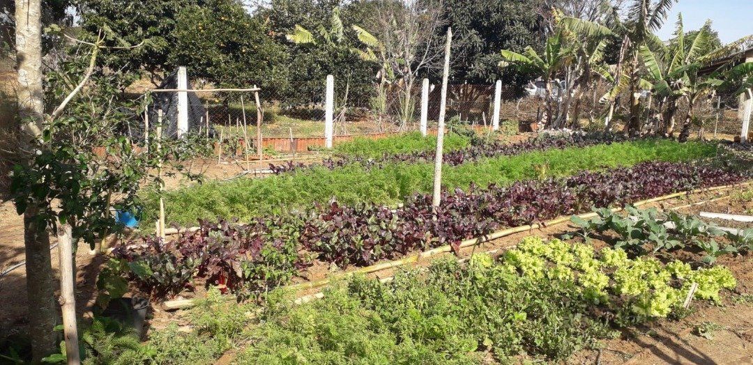 Casa, 4 quartos, 300 m² - Foto 36