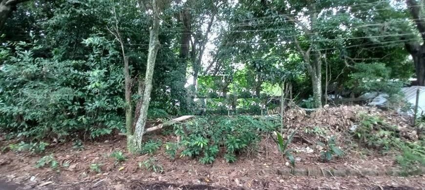 Terreno, 3291 m² - Foto 3