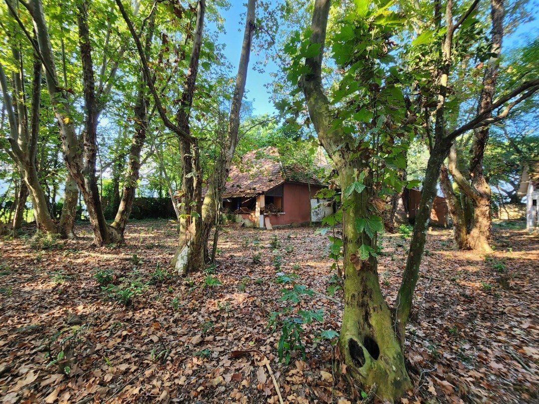 Terreno, 5322 m² - Foto 2