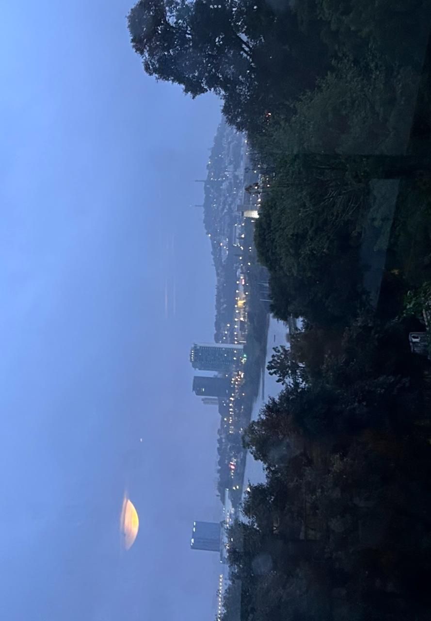 Casa, 4 quartos, 500 m² - Foto 13