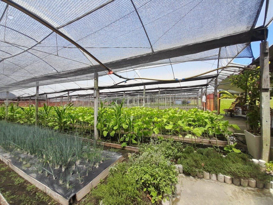 Terreno, 6629 m² - Foto 17