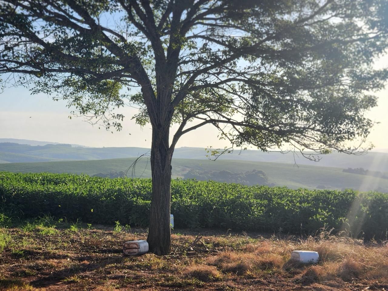 Fazenda apenas 50 quilômetros de PORTO ALEGRE